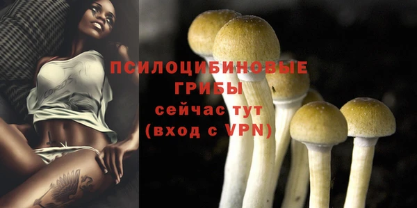 сатива Алексеевка