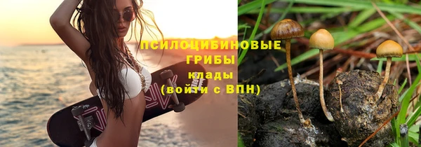 сатива Алексеевка