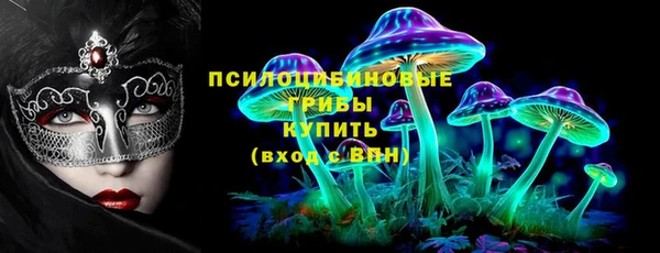 сатива Алексеевка