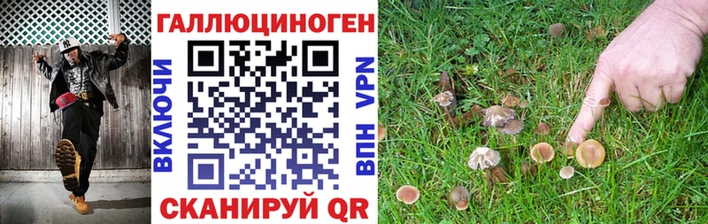 Псилоцибиновые грибы GOLDEN TEACHER мега ССЫЛКА Кочубеевское